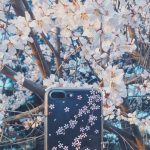 phpstudy集成环境升级Mysql版本-DukeAnn的博客